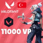 valorant 11000 vp
