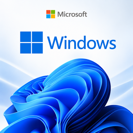 Microsoft Windows 11 pro